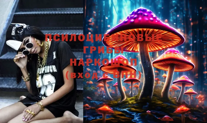 Галлюциногенные грибы Psilocybine cubensis  продажа наркотиков  hydra ссылка  Ивангород 